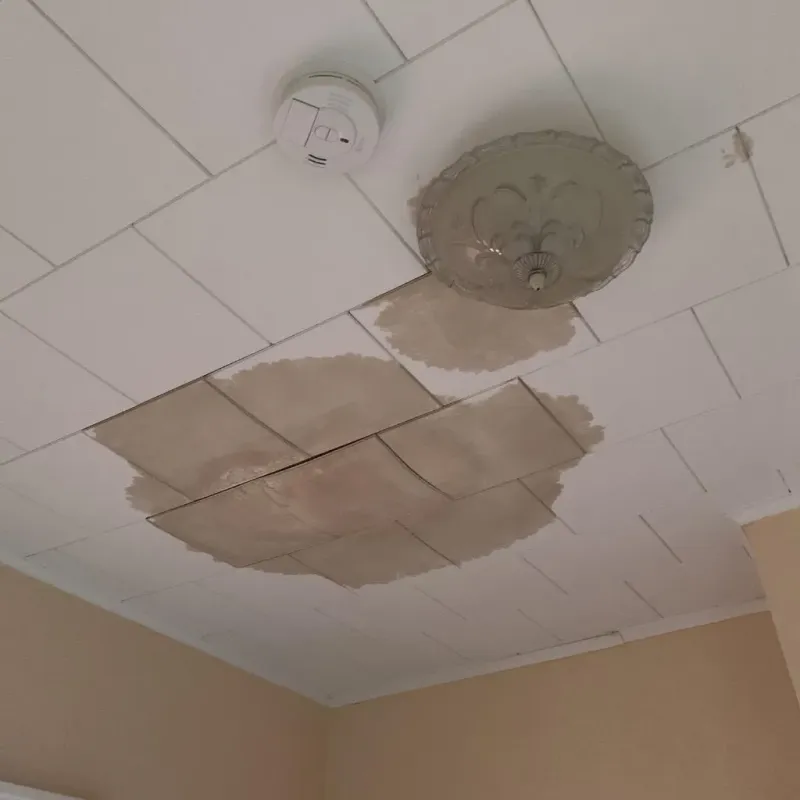 Ceiling Water Damage Repair in Naugatuck, CT