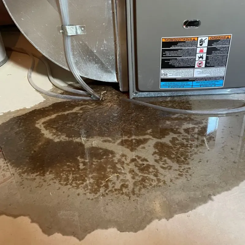 Pipe Burst and Leak Restoration in Naugatuck, CT