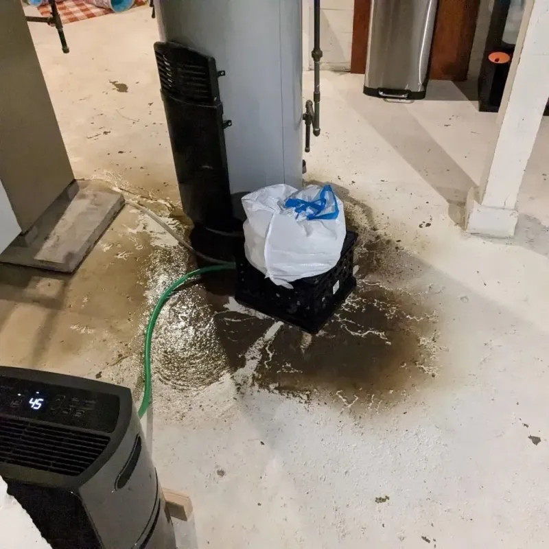 Sewage Backup Cleanup Service in Naugatuck, CT